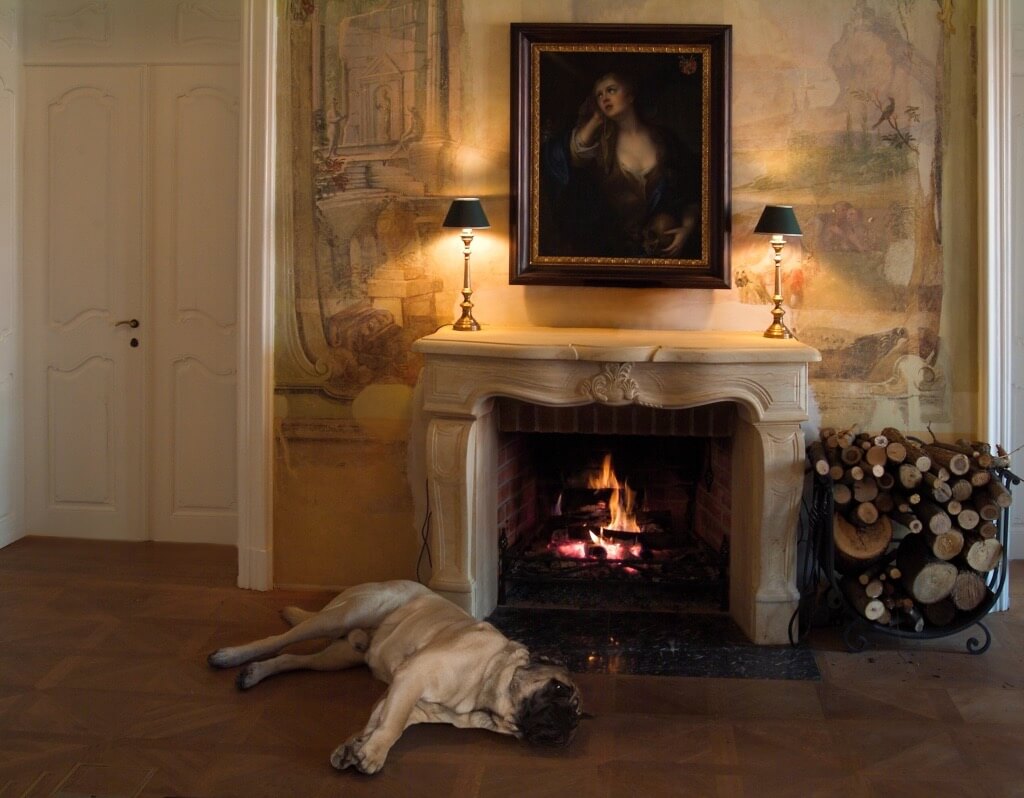 Bon Repos castle czech republic fireplace dog