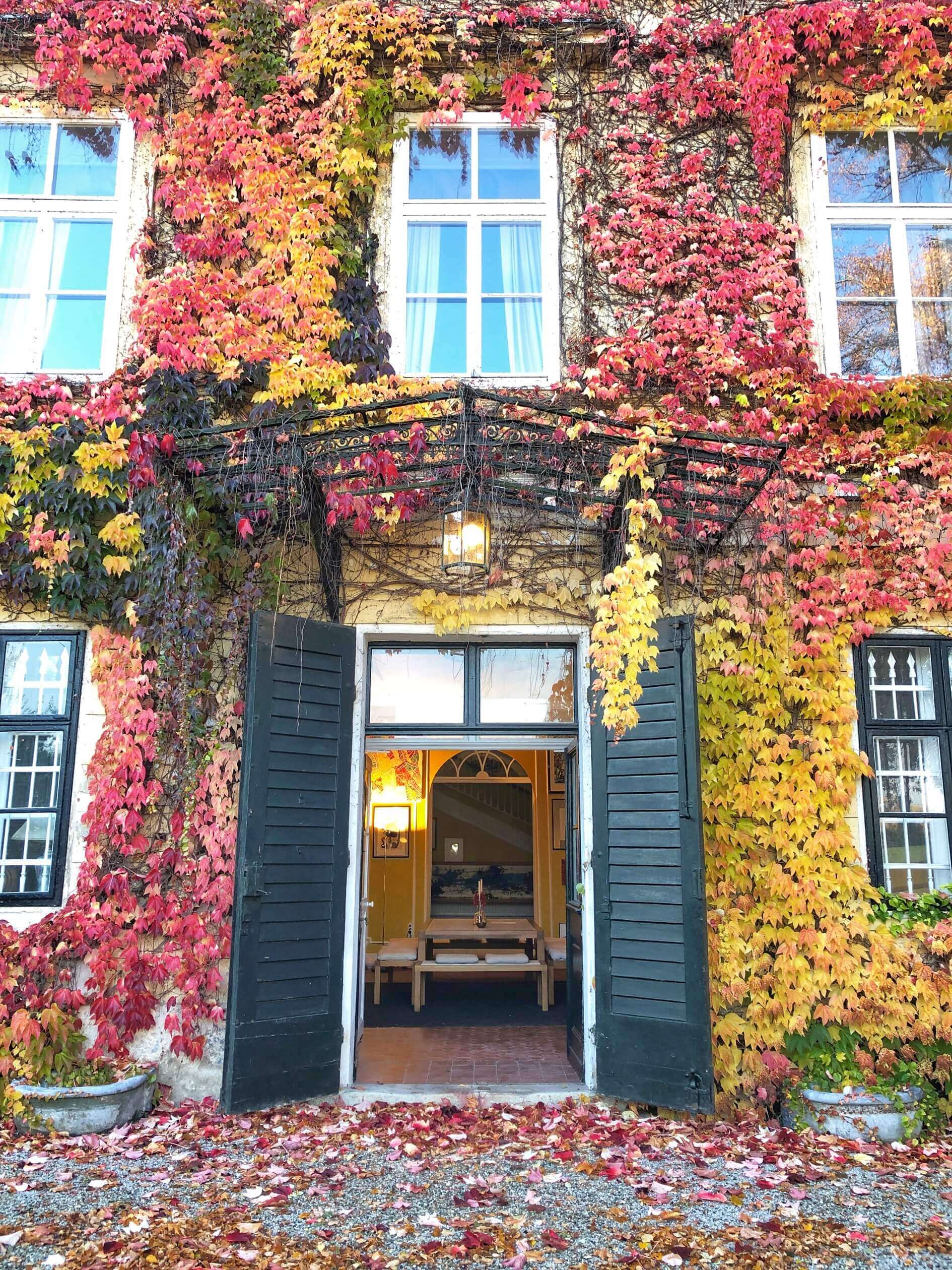 Hochzeitsschloss-Hollenburg-Schlosseingang-weit-Foto-Abothek