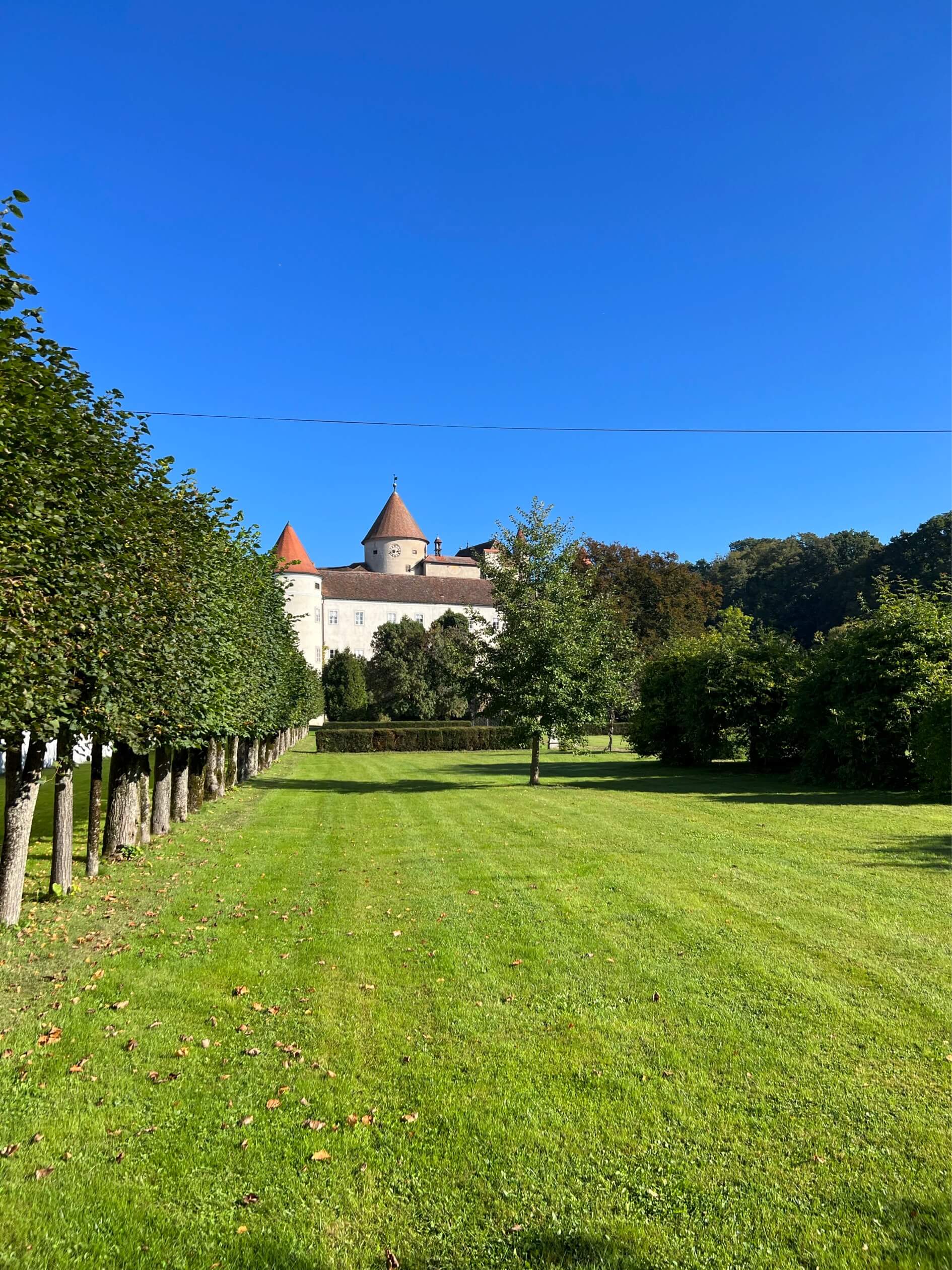 Schloss-Blick-vom-Garten-2-schloss-schwertberg