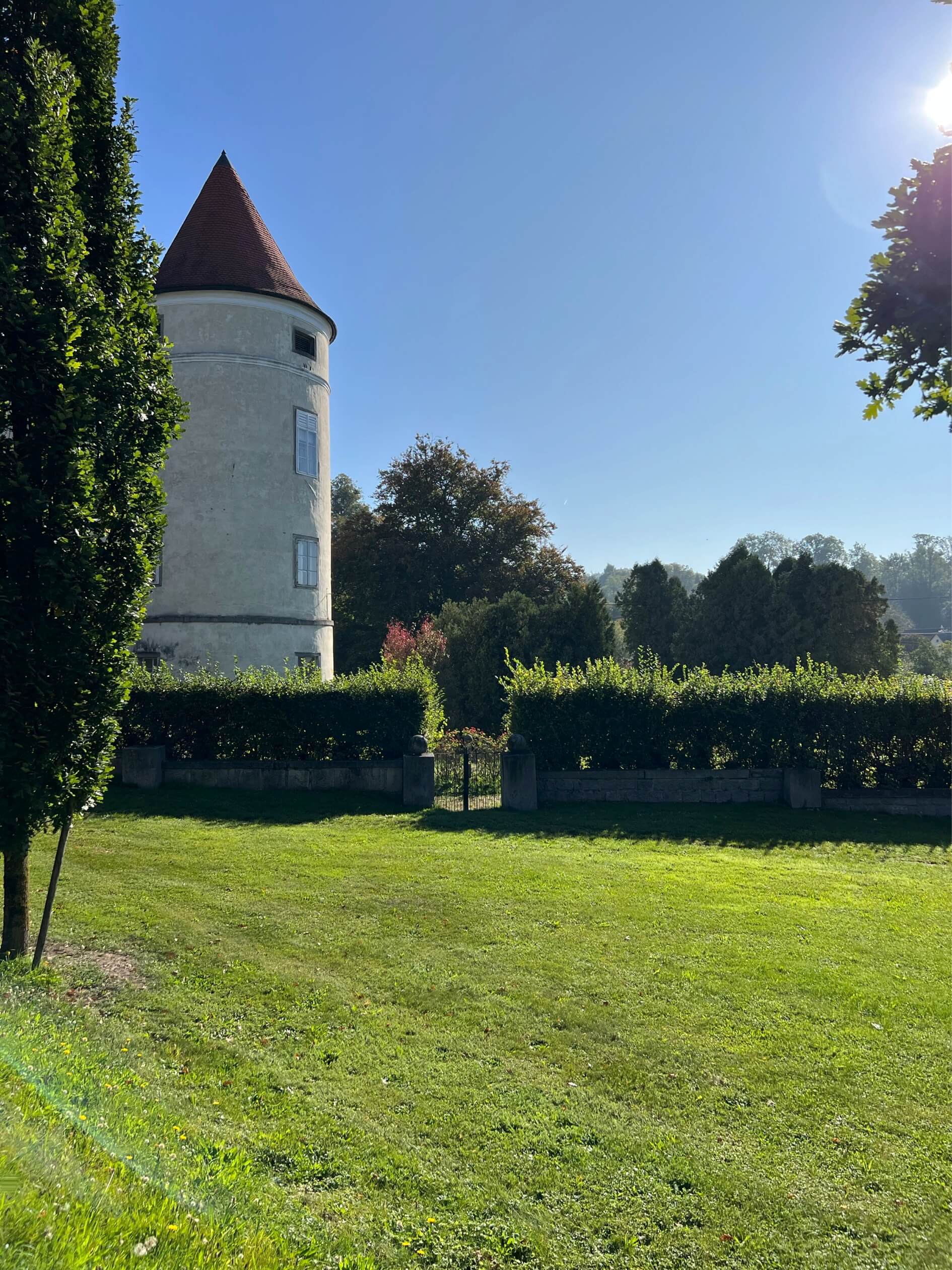 Schloss-Blick-von-Strasse-Turm-schloss-schwertberg