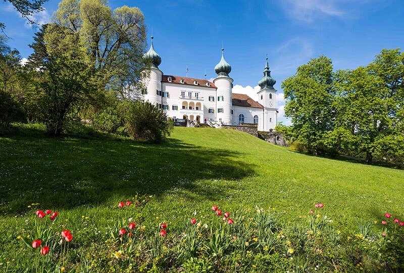 artstetten-schloss-sue-sommerwiese