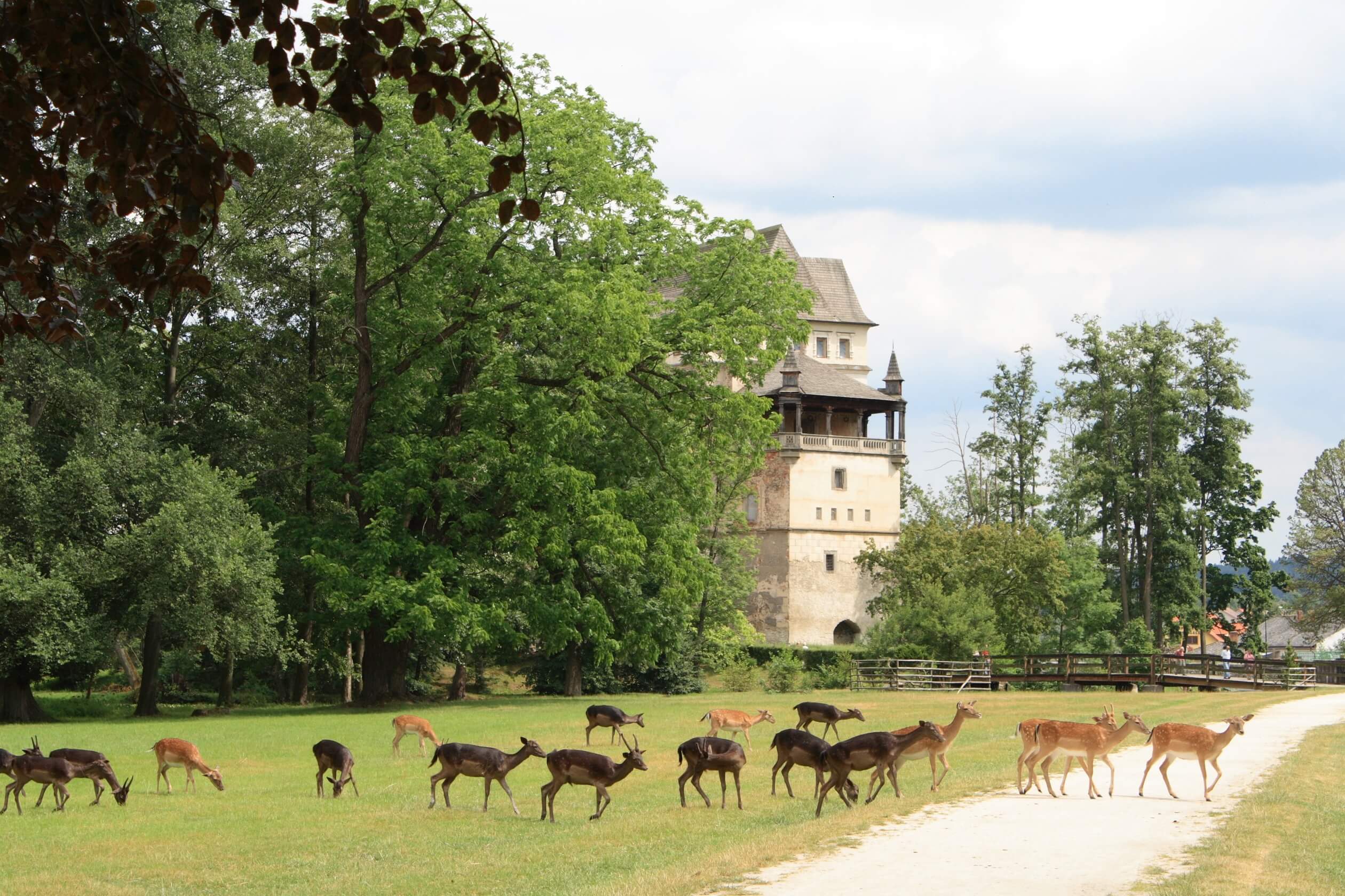 castle blatna czech republic deer park trees