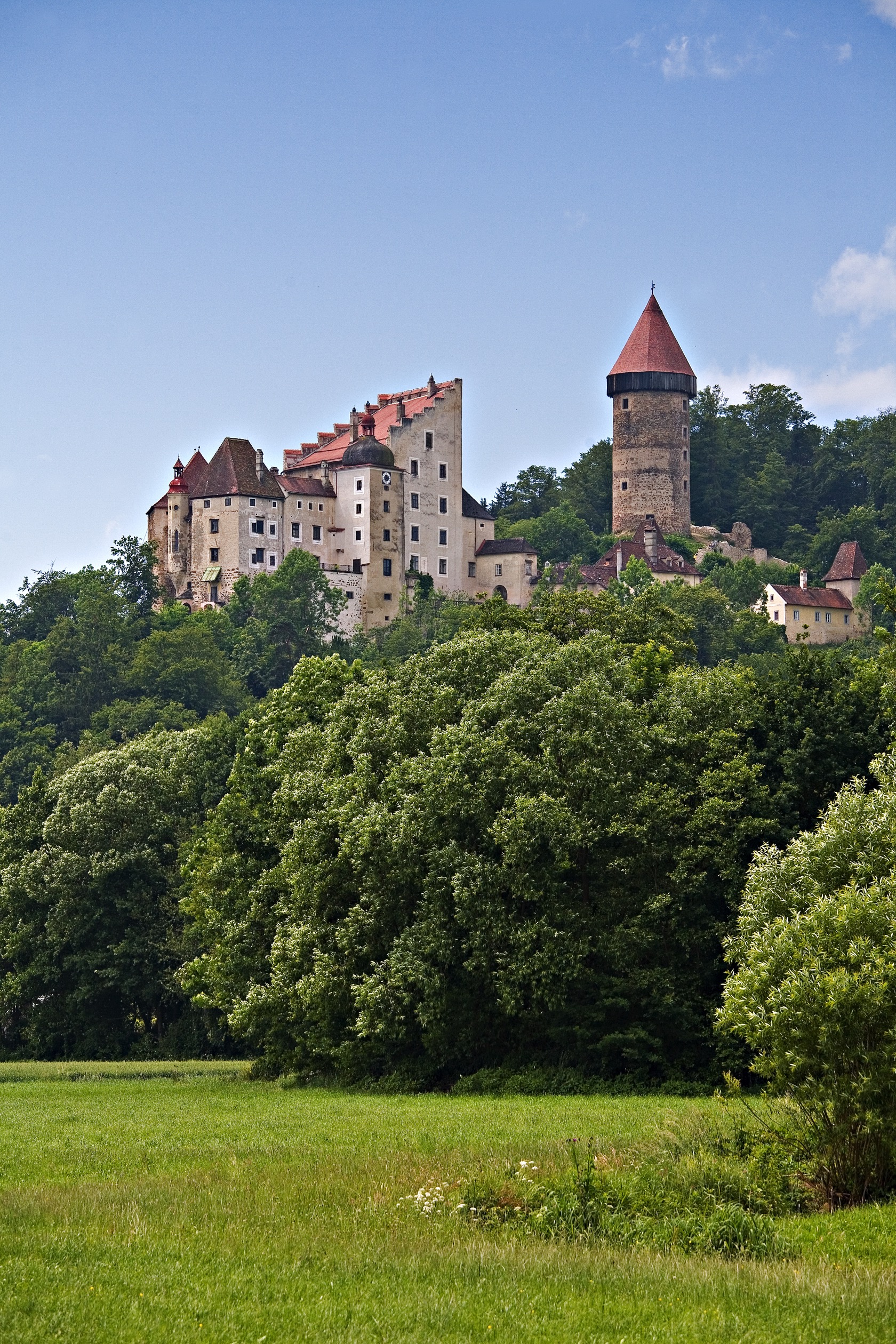 castle-clam-in-the-woods