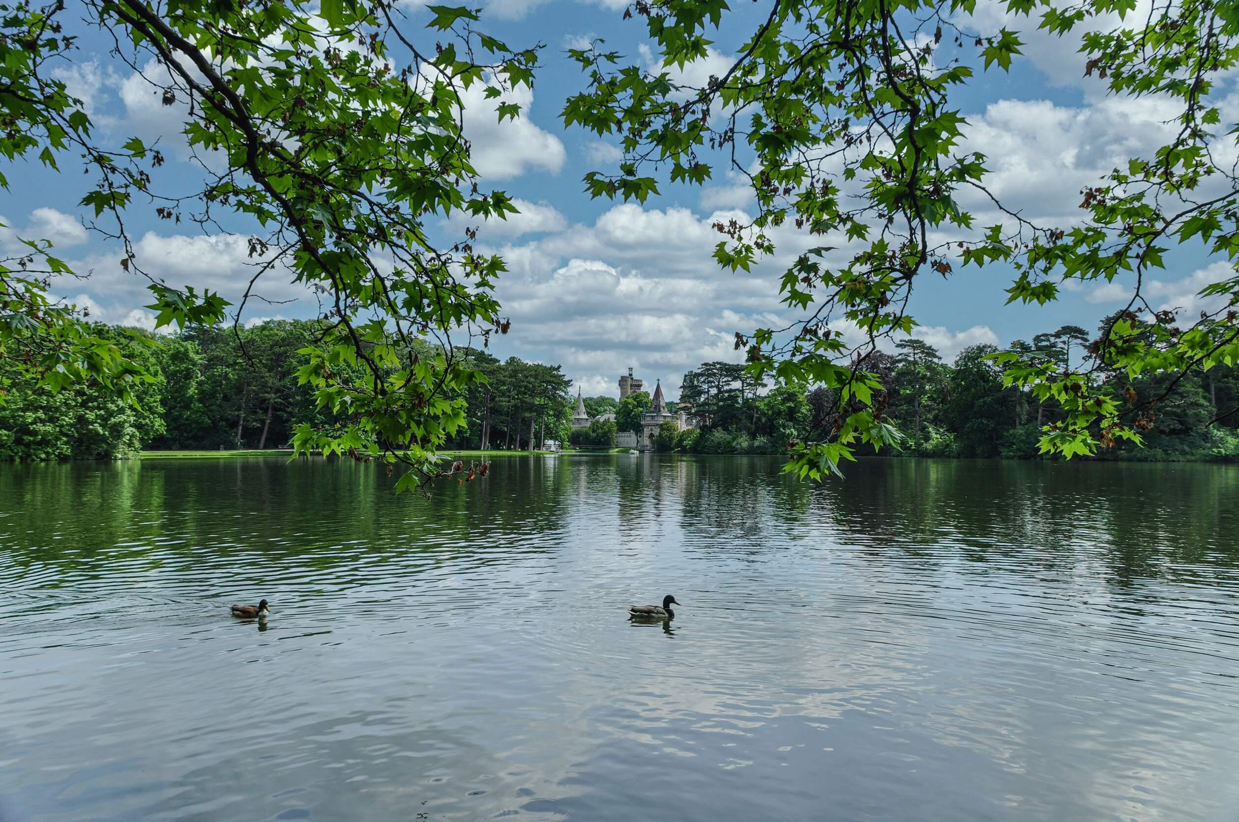 castle laxenburg pond and ducks