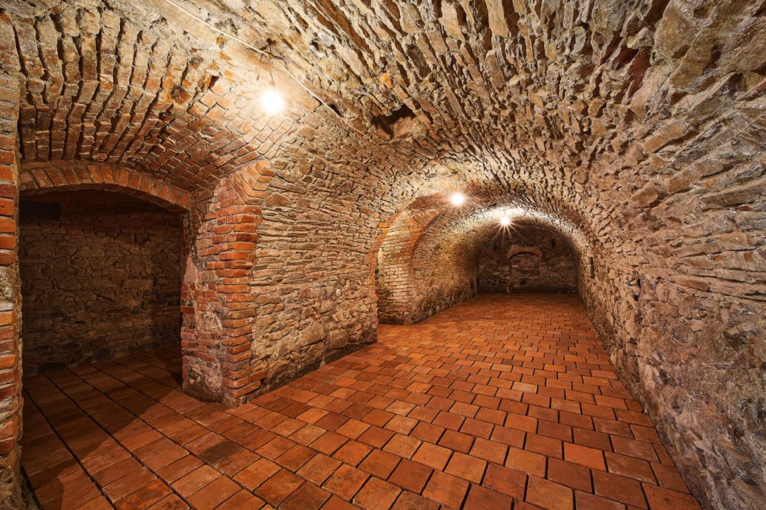 castle lesany cellar