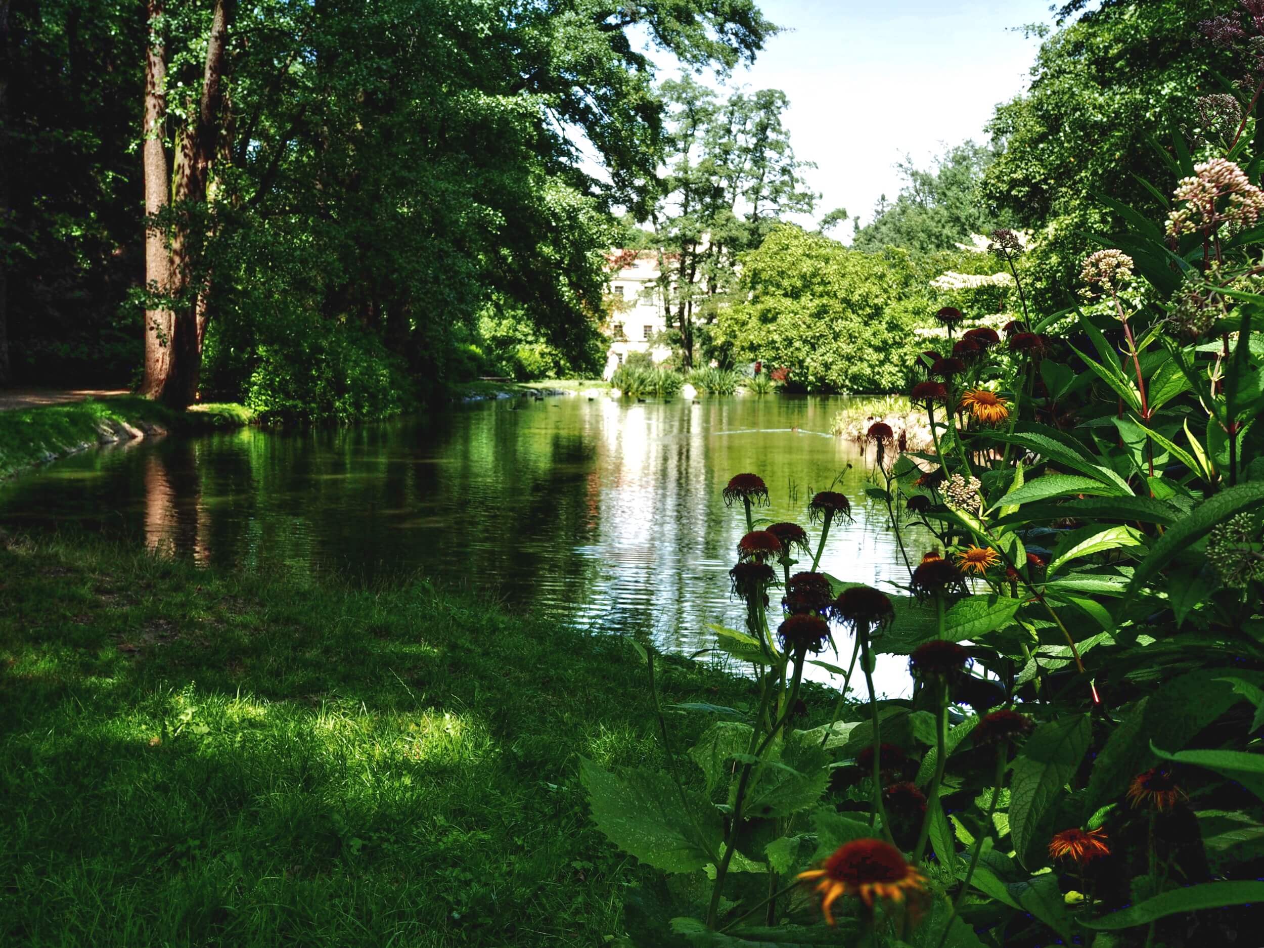 castolovice castle lake