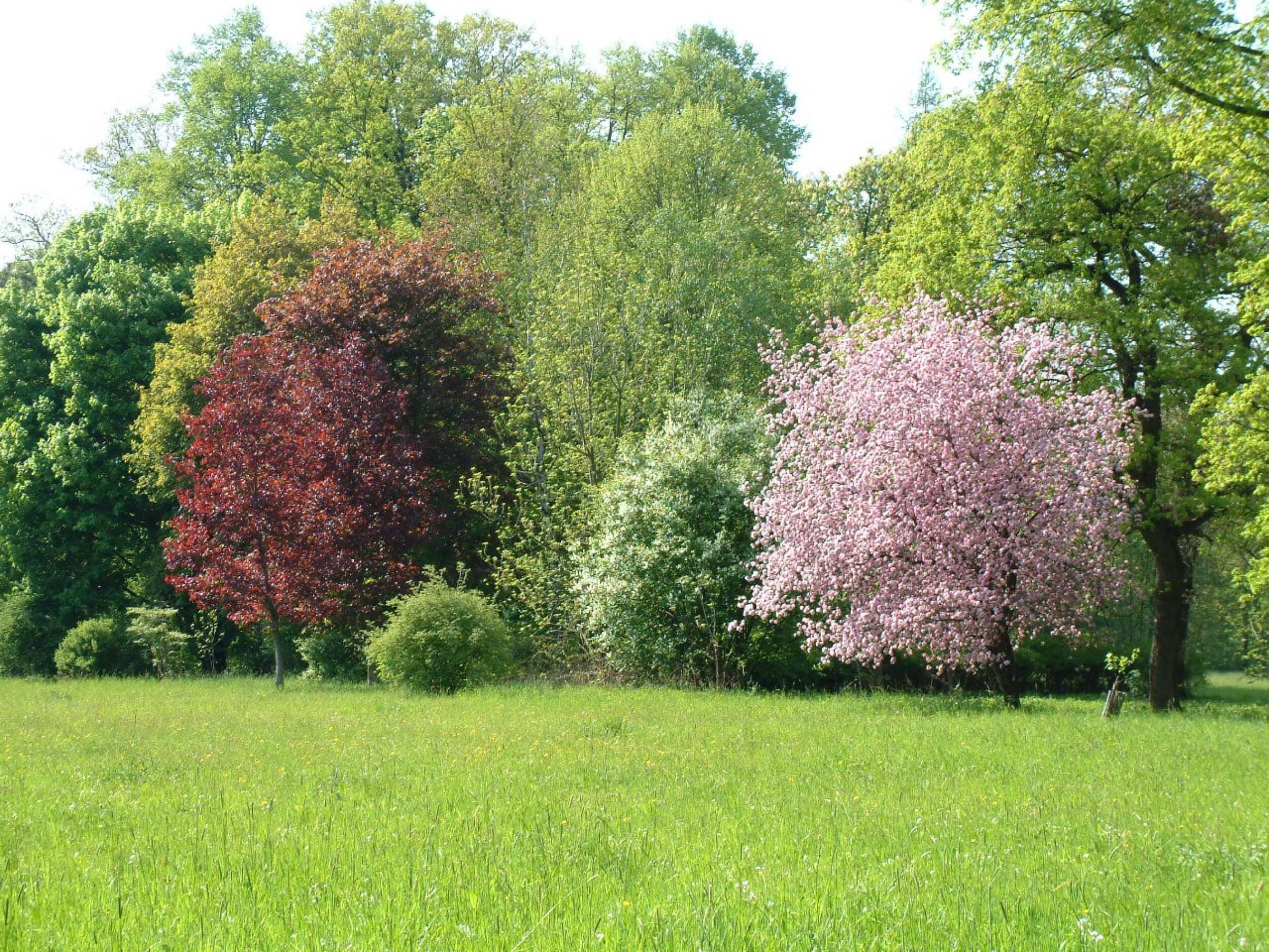 castolovice castle trees garden