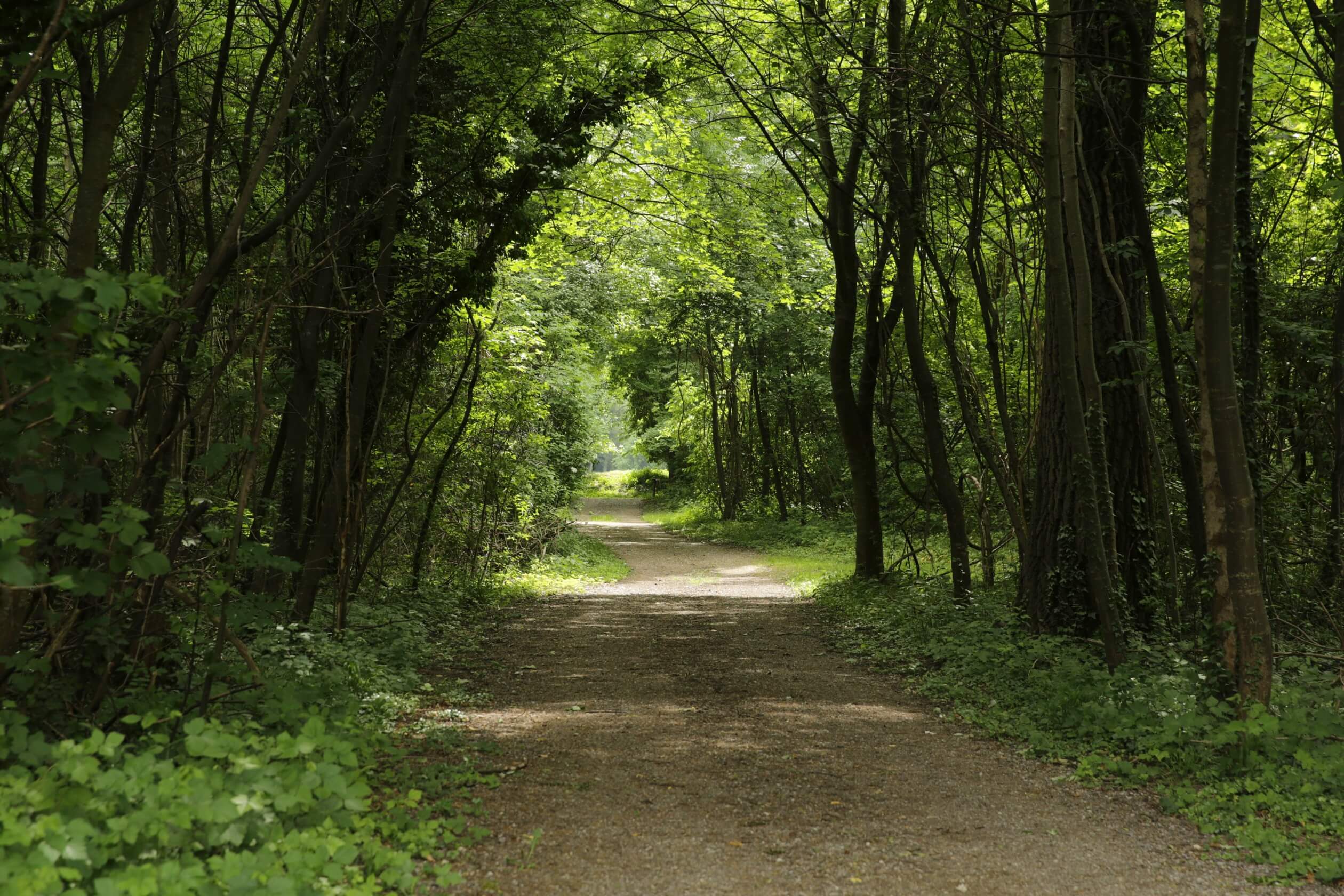 ebreichsdorf lower austria castle park walkway