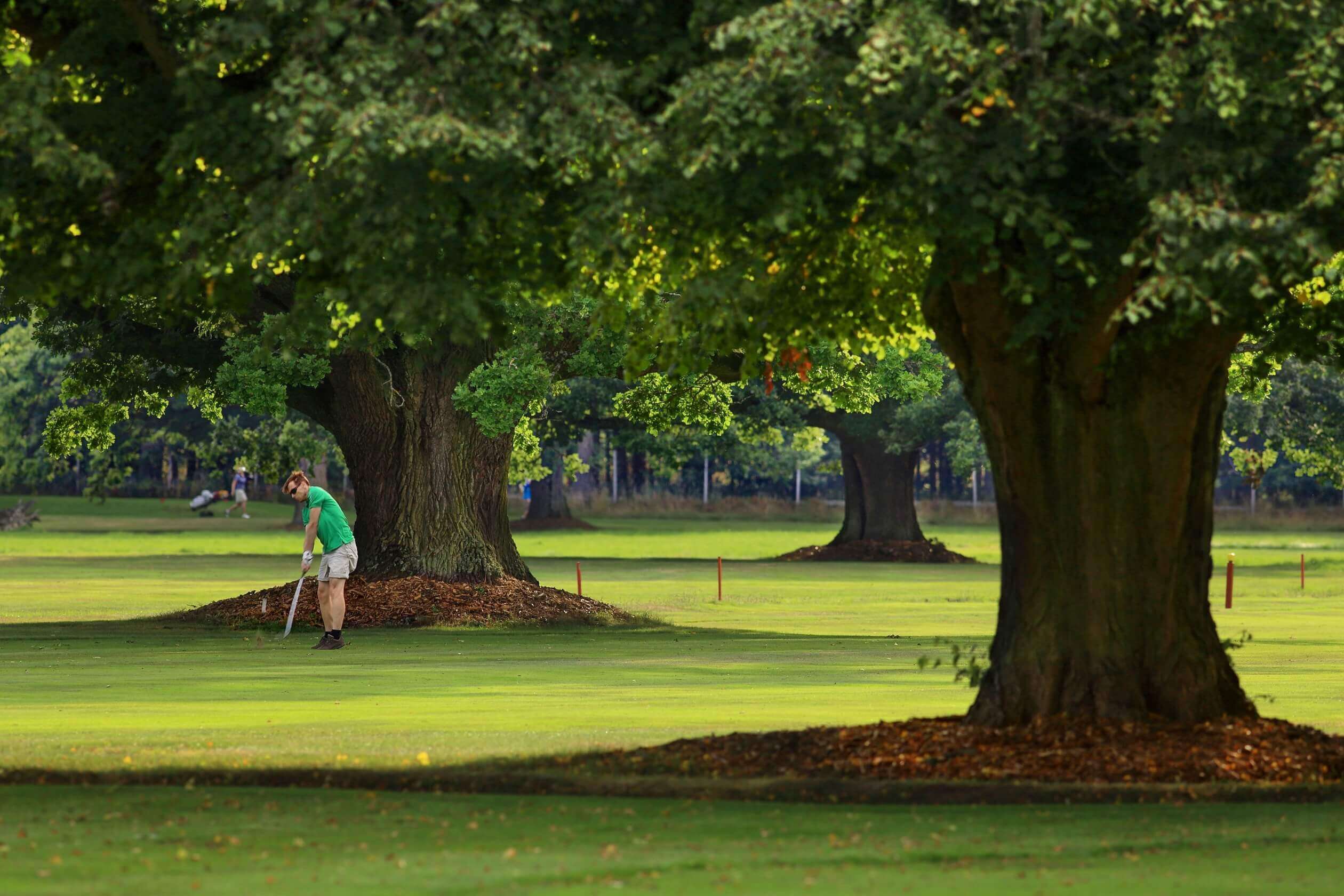 golfing at castle bechyne