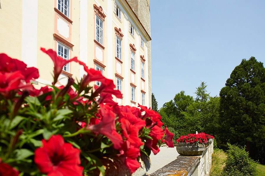 horn castle lower austria side gate flowers