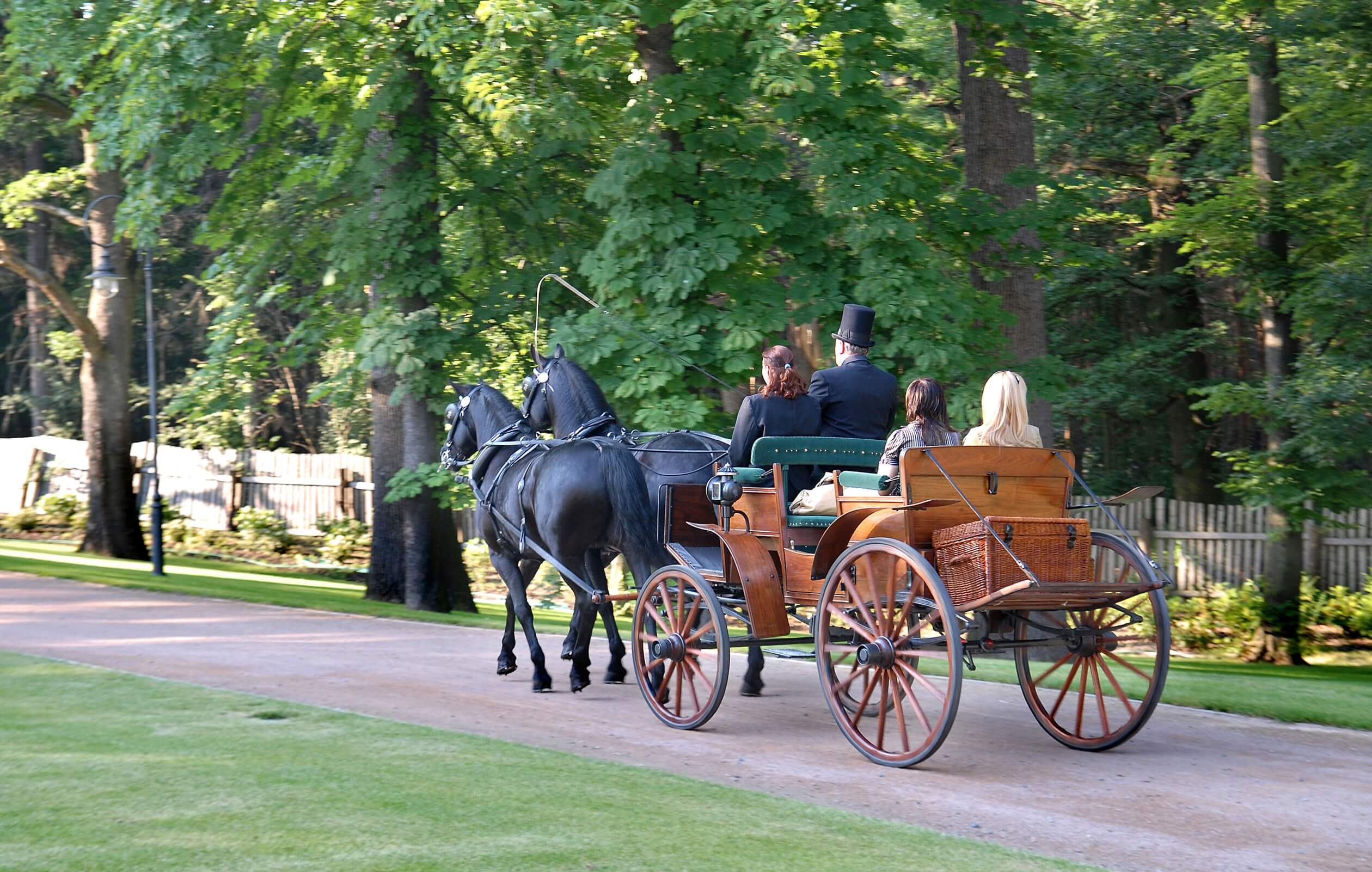horse carriage in park chateau mcely