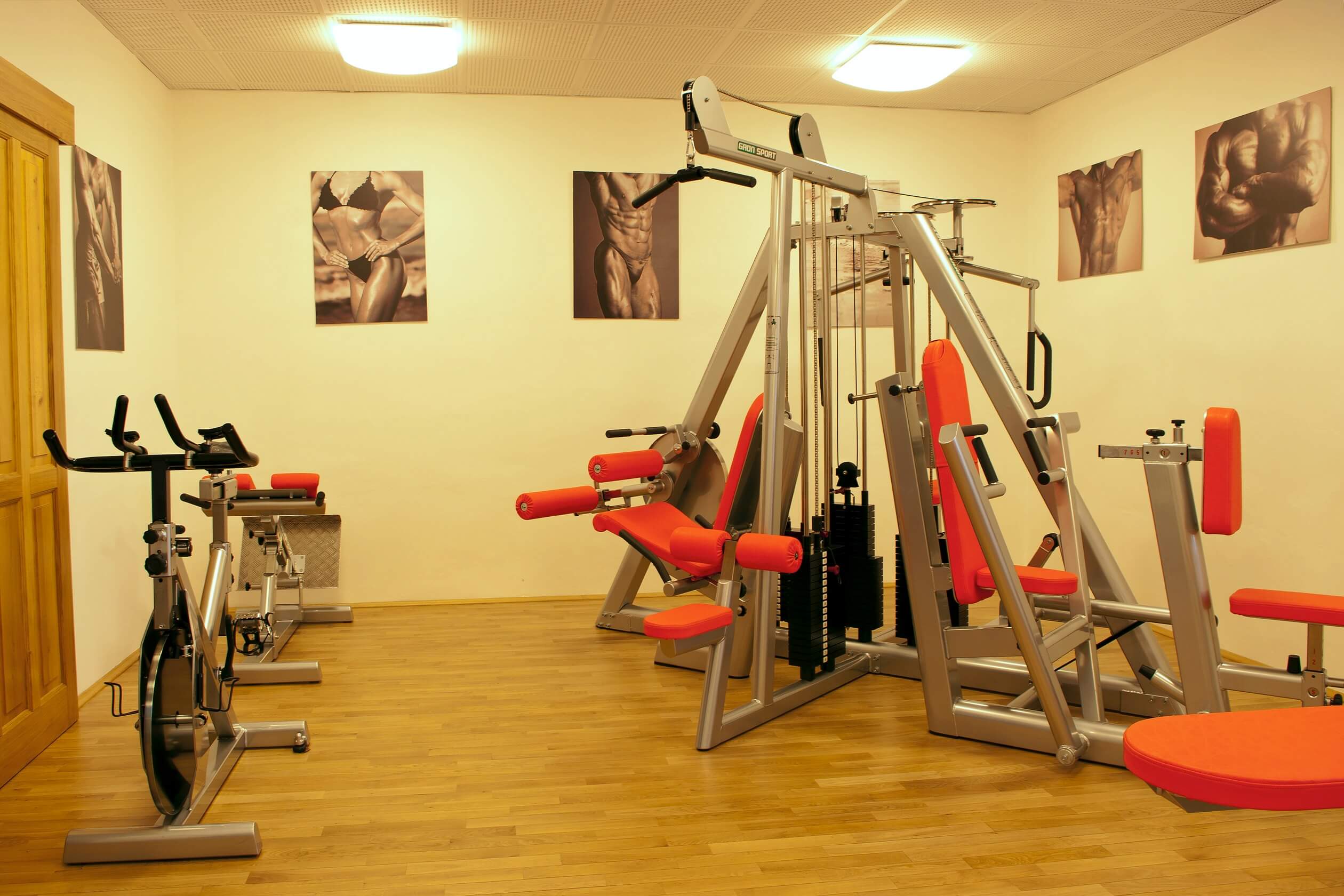 hotel gym dobris castle