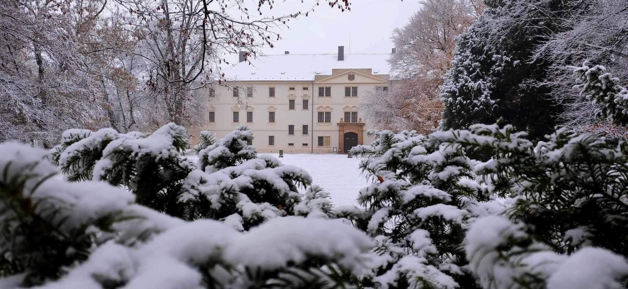 krinec castle snow