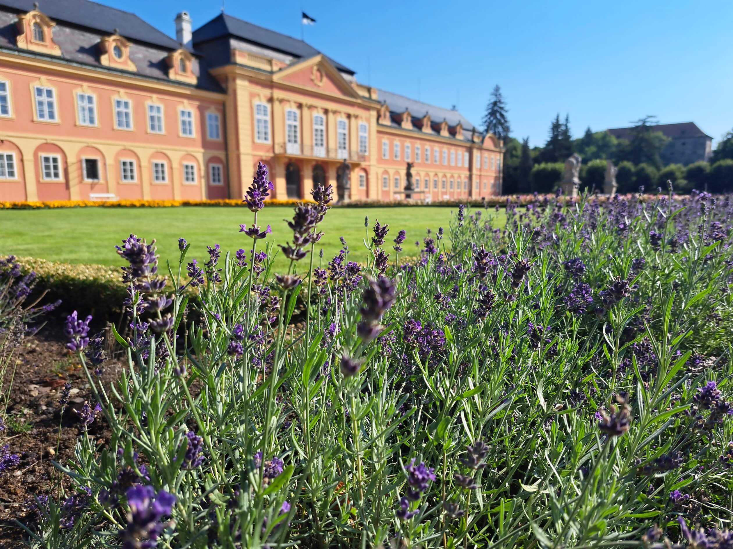 lavender park dobris castle