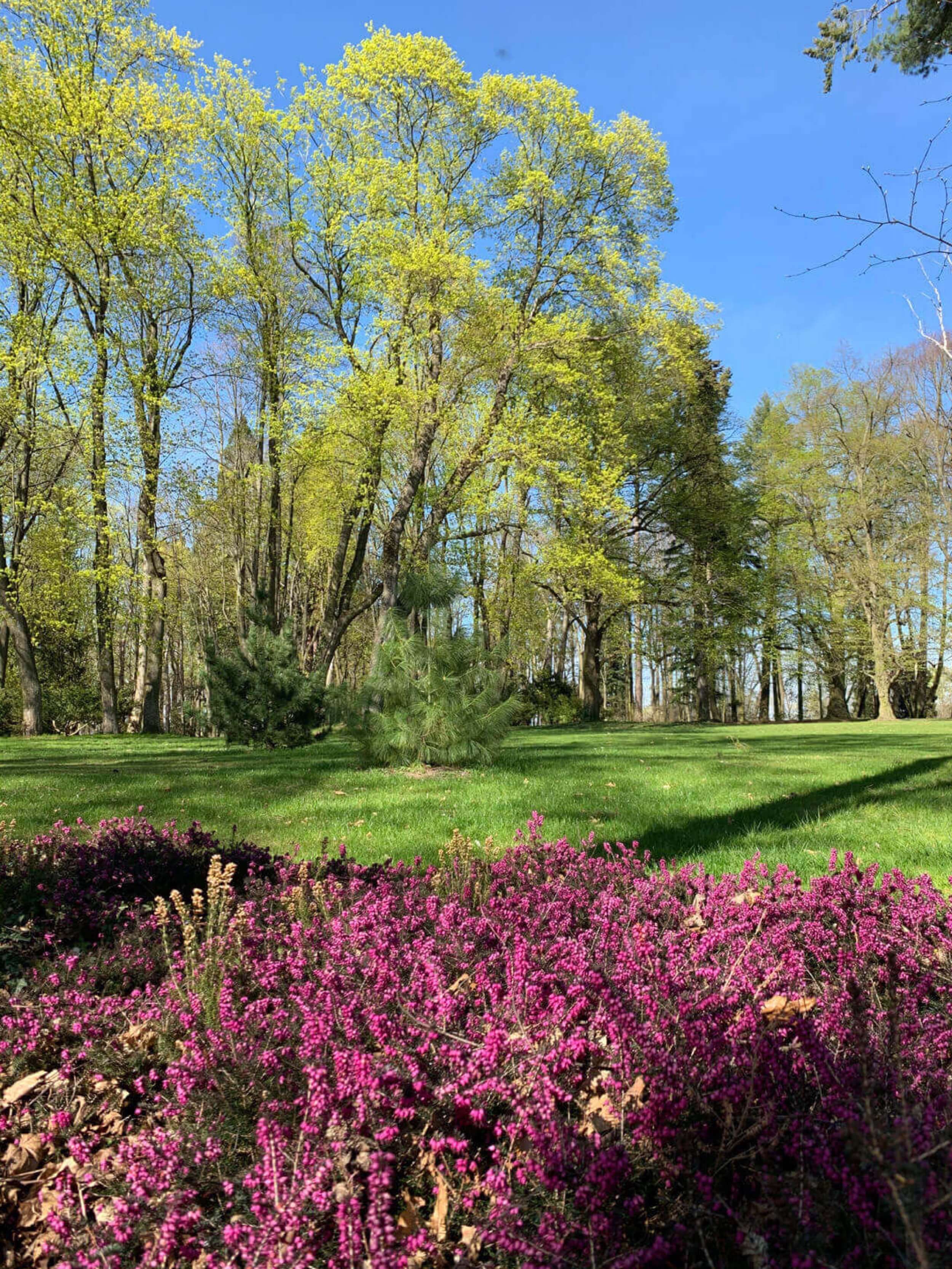 ratmerice-castle-park-red-flowers