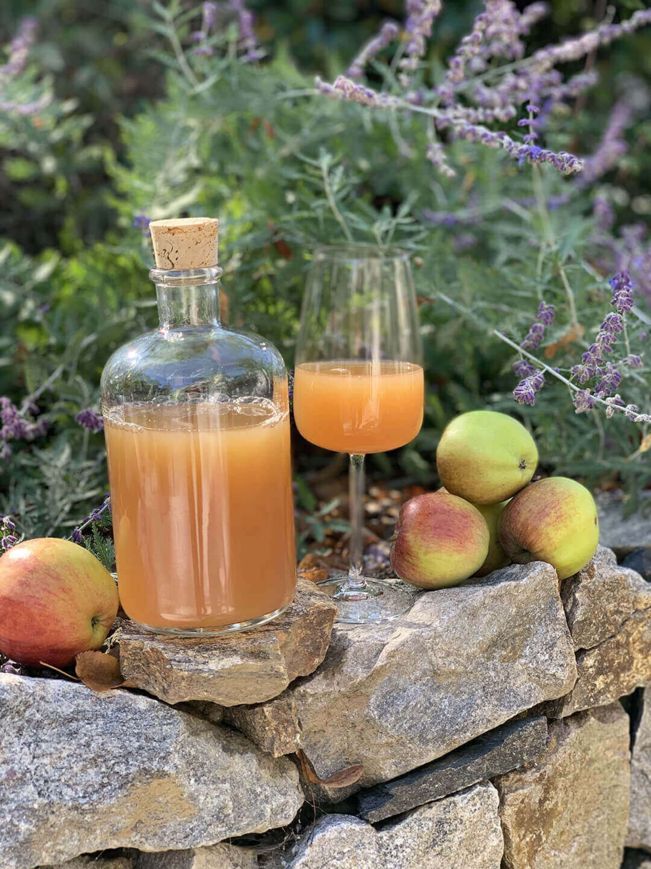 ratmerice-castle-restaurant-homemade-applejuice