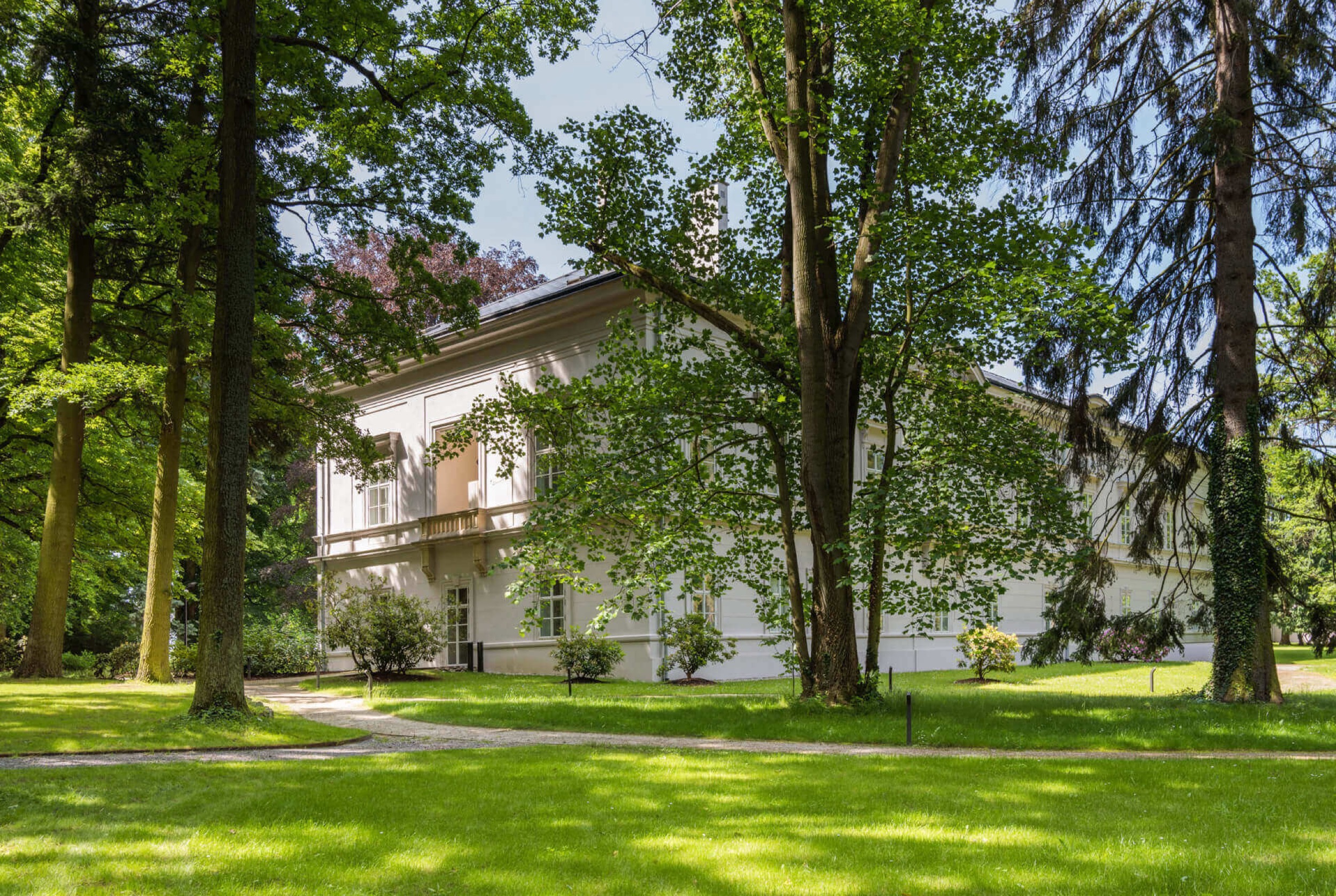 ratmerice castle trees