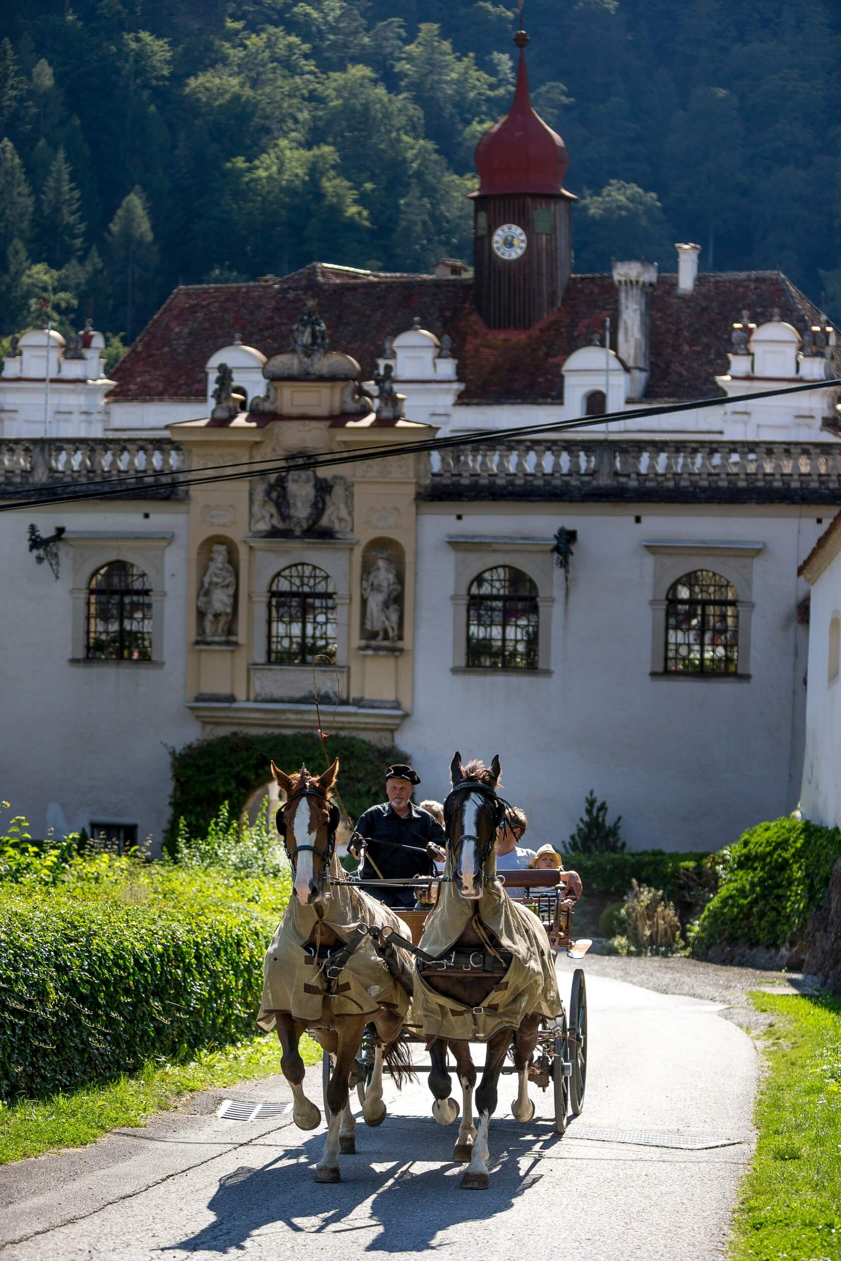 schloss-herberstein-kutsche