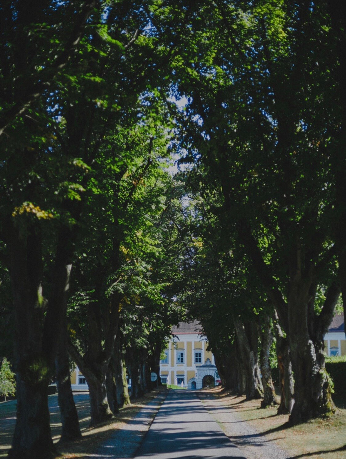 tillysburg-castle-entrance-gate