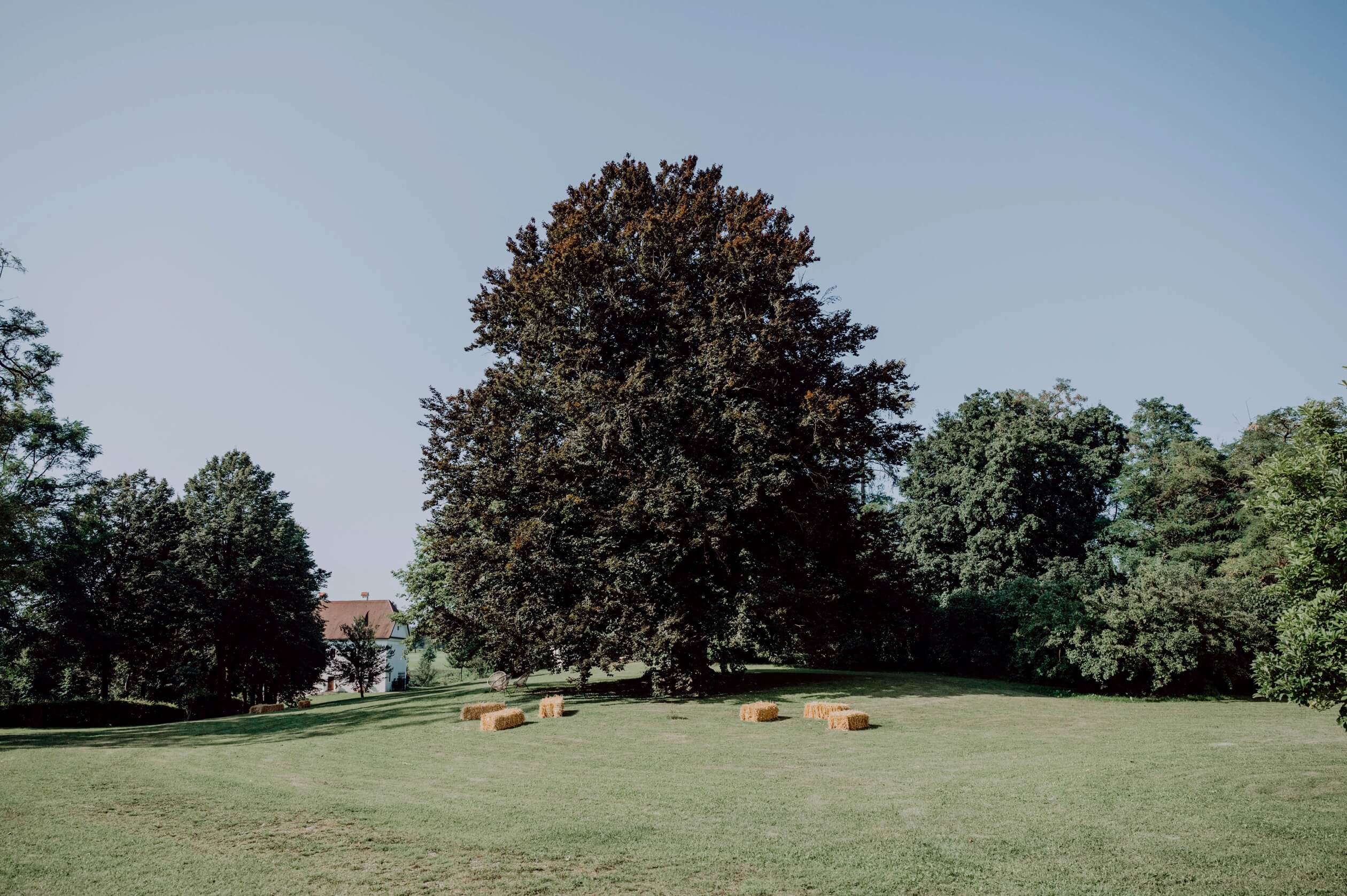 tillysburg castle park