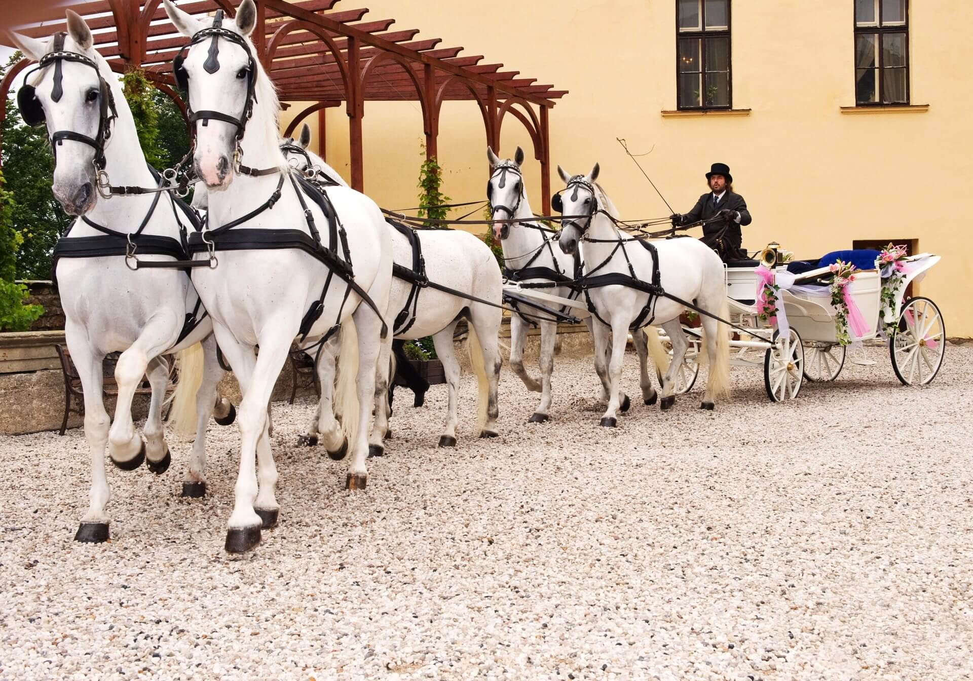 tradition horse carriage zbiroh castle