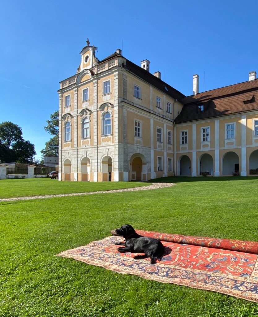 vilemov-castle-czech-republic-profile-park-sunny-dog