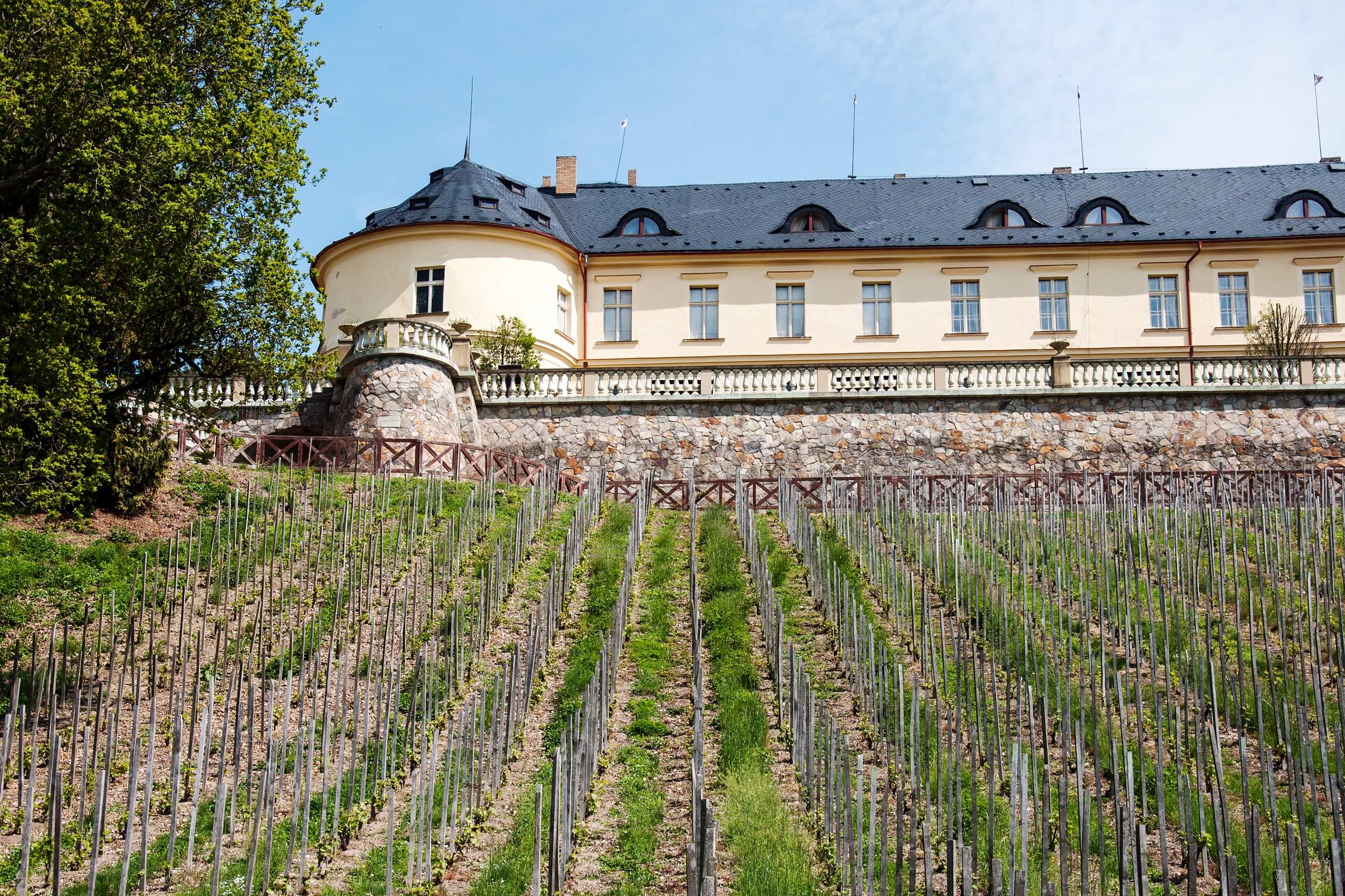 wine zbiroh castle